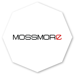 Техническая реализация интернет-магазина Mossmore